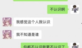 娱乐吃瓜酱学长怎么聊天,揭秘娱乐圈幕后故事