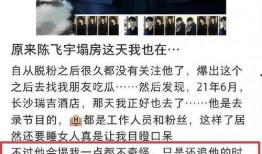 陈飞宇老公爆料视频,视频爆料背后的惊人真相